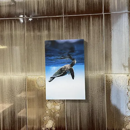 Lejlighed Casa Marea Riccione