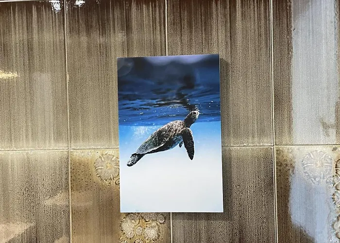 Lejlighed Casa Marea Riccione